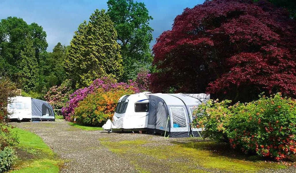 blair-drummond-caravan-club-site-blair-drummond-eth4k
