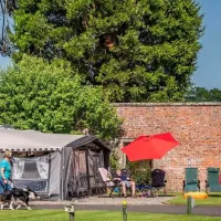 blair-drummond-caravan-club-site-blair-drummond-zayi2