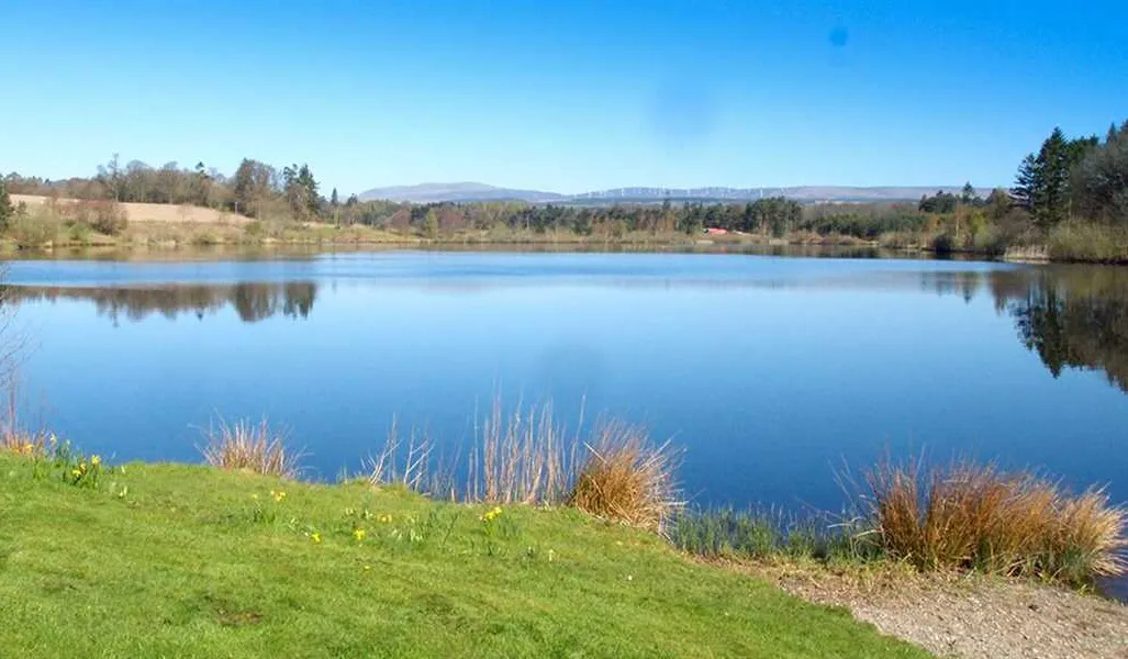 blair-drummond-caravan-club-site-blair-drummond-zvf1y