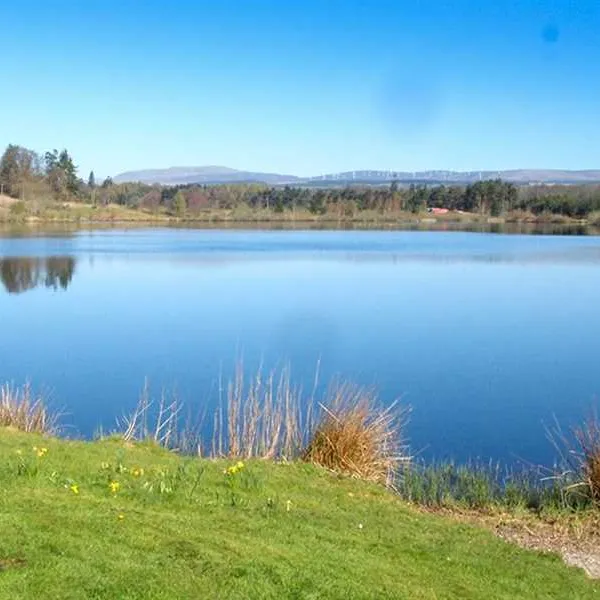 blair-drummond-caravan-club-site-blair-drummond-zvf1y