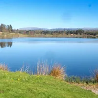 blair-drummond-caravan-club-site-blair-drummond-zvf1y