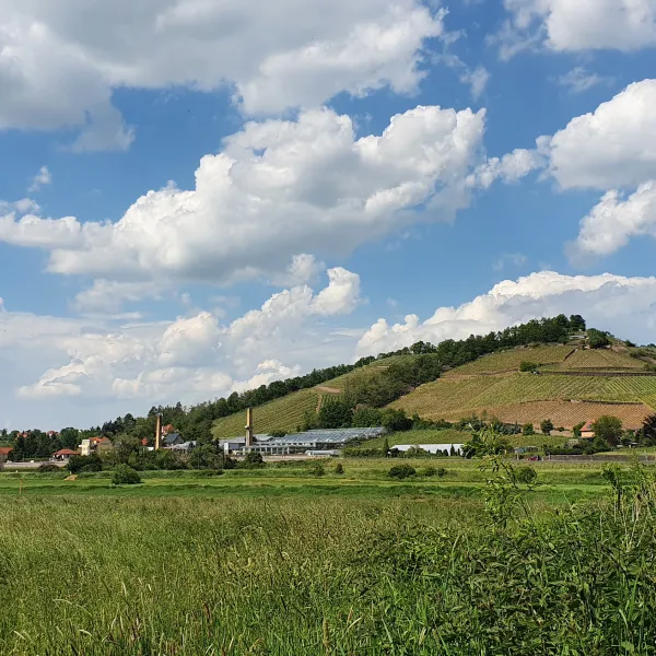 camping-rehbocktal-scharfenberg-bei-meissen-g1jhs
