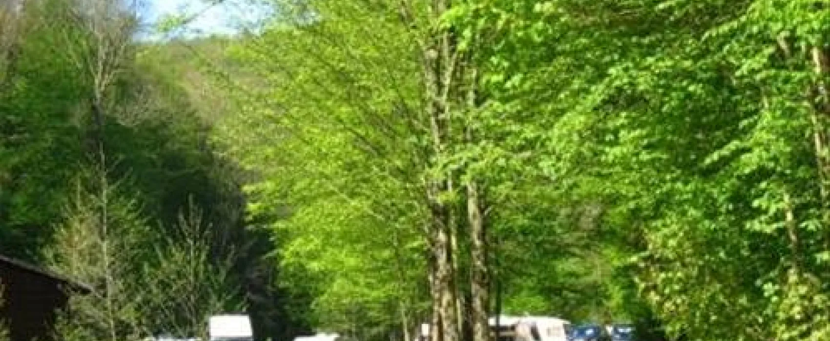 Camping Rehbocktal