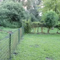 camping-parc-des-cygnes-amiens-gtwfg