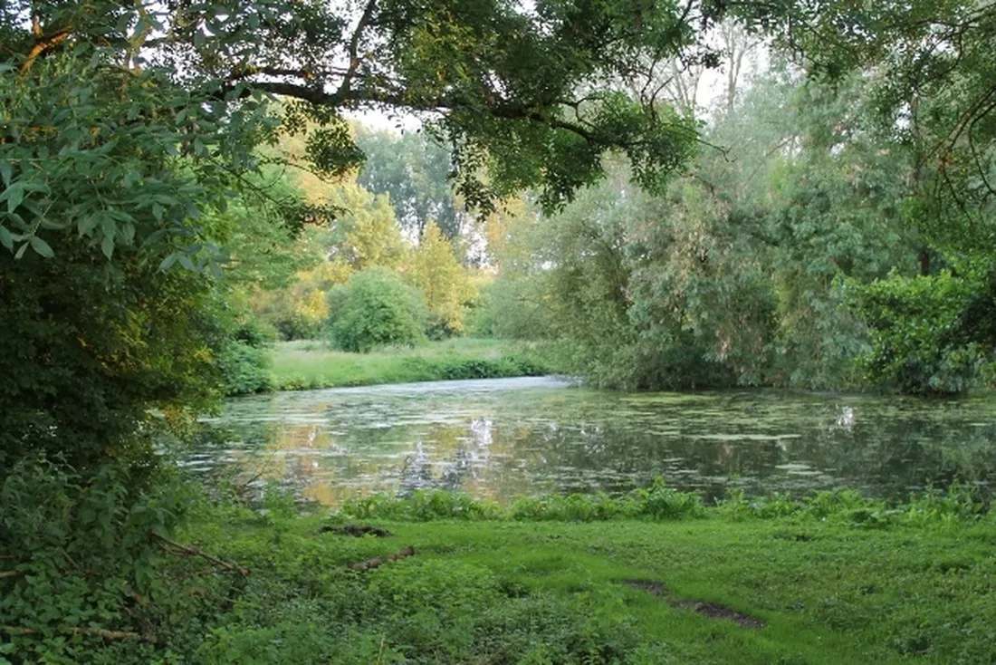 camping-parc-des-cygnes-amiens-lgbi9