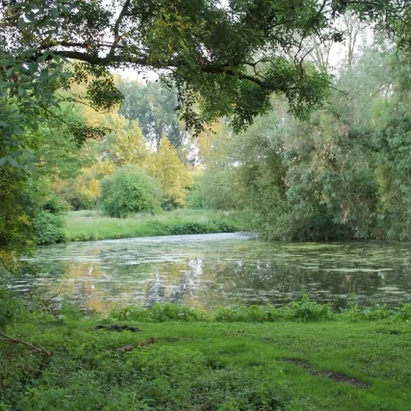 camping-parc-des-cygnes-amiens-lgbi9