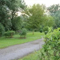 camping-parc-des-cygnes-amiens-yg060