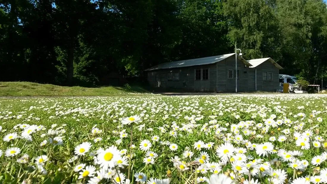 camping-de-schaopvolte-eext-kli7f