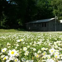 camping-de-schaopvolte-eext-kli7f