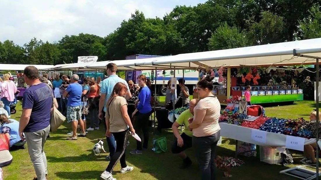 camping-de-schaopvolte-eext-mftnt