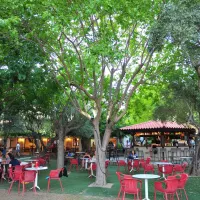 camping-gythion-bay-gythionlakonia-5egu7
