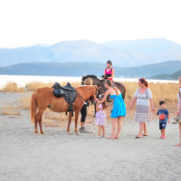 camping-gythion-bay-gythionlakonia-gnnof
