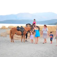 camping-gythion-bay-gythionlakonia-gnnof