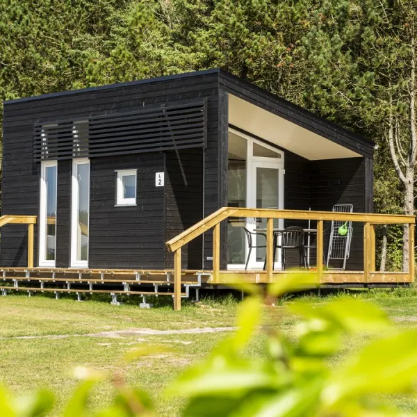 DCU Camping Tranum