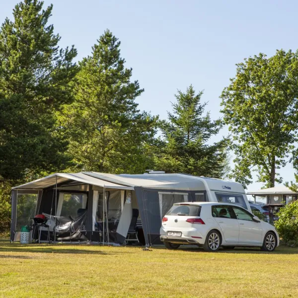 Tranum X