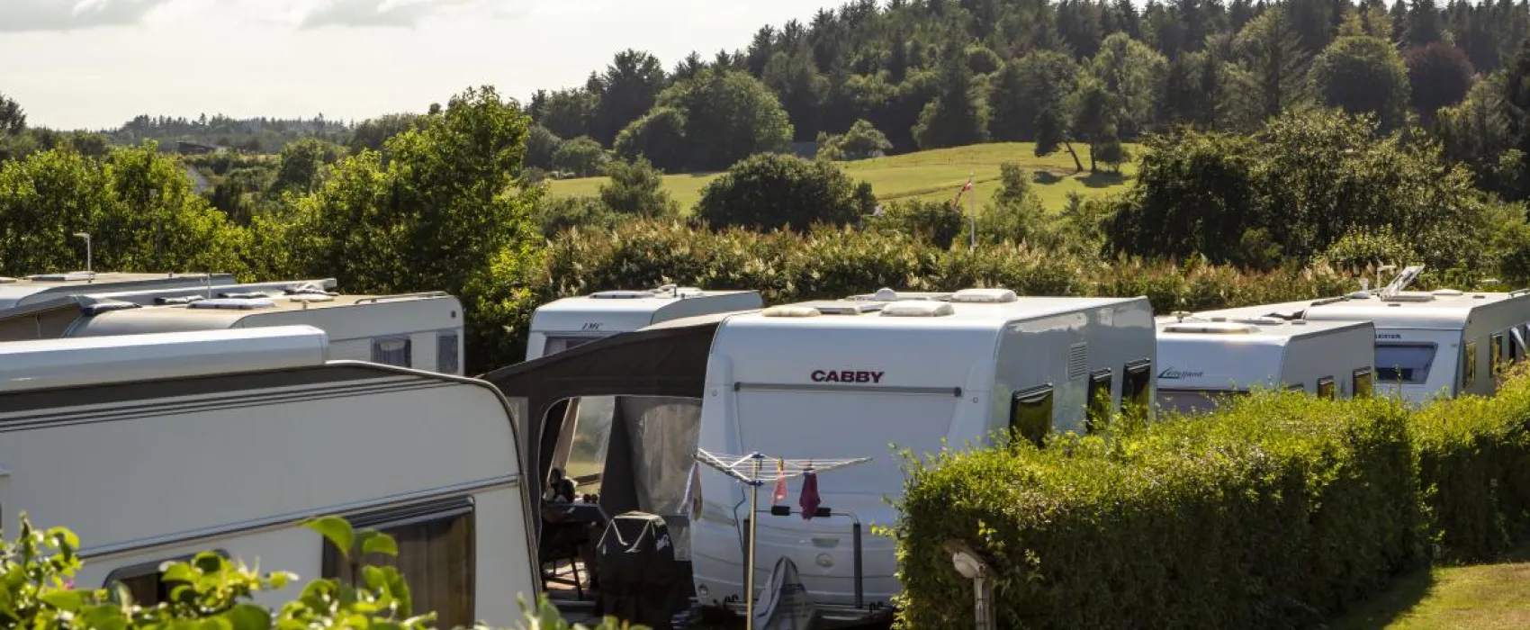 DCU Camping Tranum