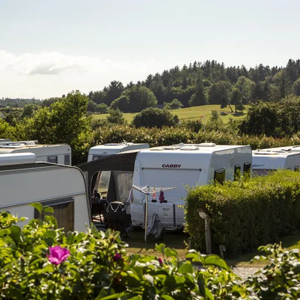 DCU Camping Tranum