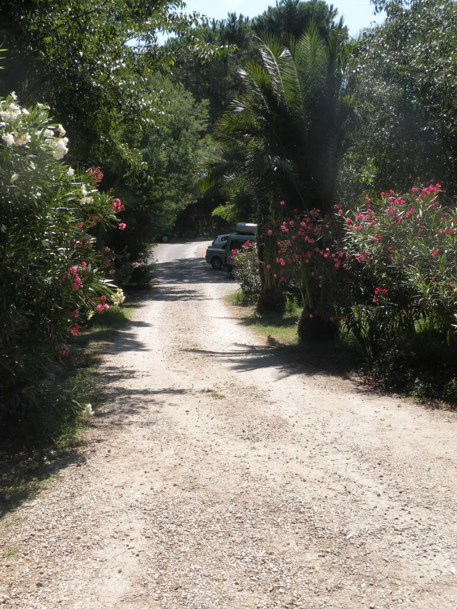 camping-la-coscolleda-sorde-nlx6s