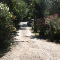 camping-la-coscolleda-sorde-nlx6s