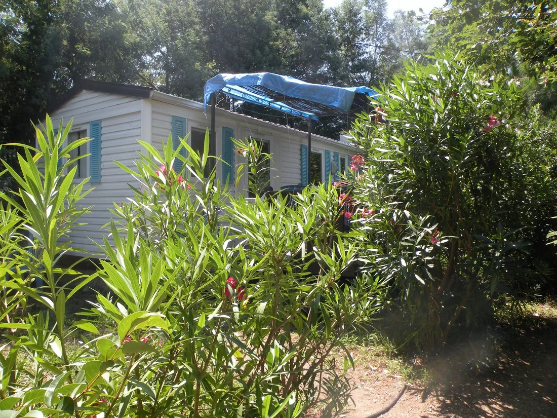 camping-la-coscolleda-sorde-zr9i3