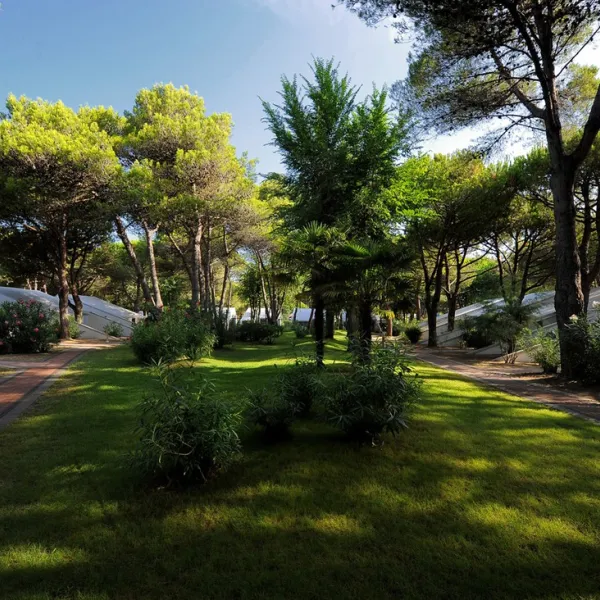camping-dei-fiori-cavallinotreporti-3eclj