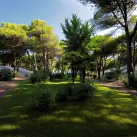 camping-dei-fiori-cavallinotreporti-3eclj