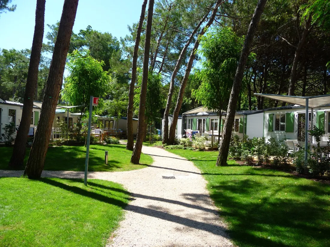 camping-dei-fiori-cavallinotreporti-5dri3