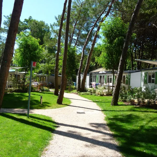 camping-dei-fiori-cavallinotreporti-5dri3