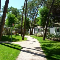 camping-dei-fiori-cavallinotreporti-5dri3