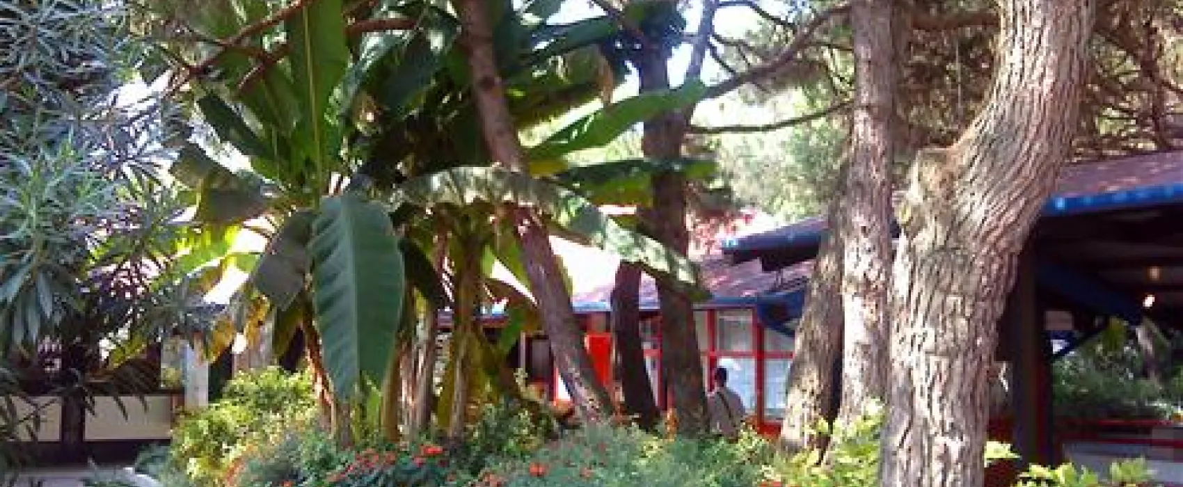 Camping Dei Fiori