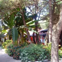 camping-dei-fiori-cavallinotreporti-c7la3