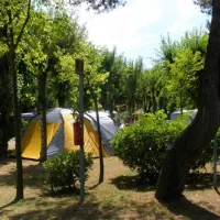 camping-dei-fiori-cavallinotreporti-erh0d