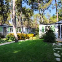 camping-dei-fiori-cavallinotreporti-vxbpy