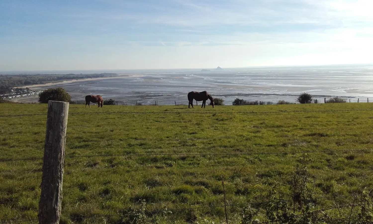 camping-la-vague-granville-pvrb9
