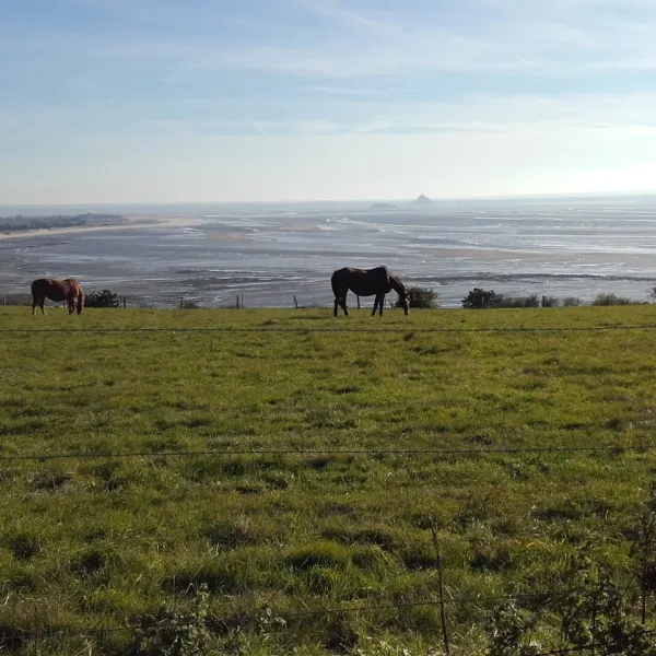 camping-la-vague-granville-pvrb9