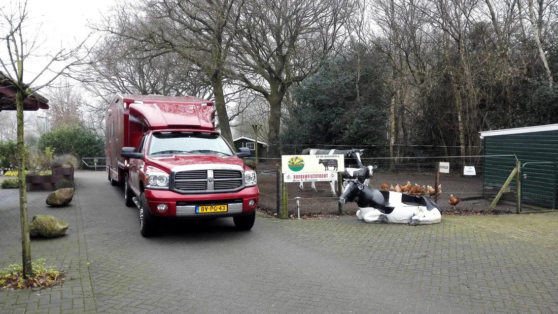 het-amerveld-amen-sqwk7
