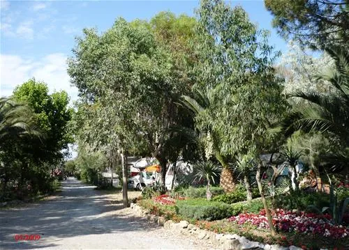 campeggio-baia-del-marinaio-vada-at2e8