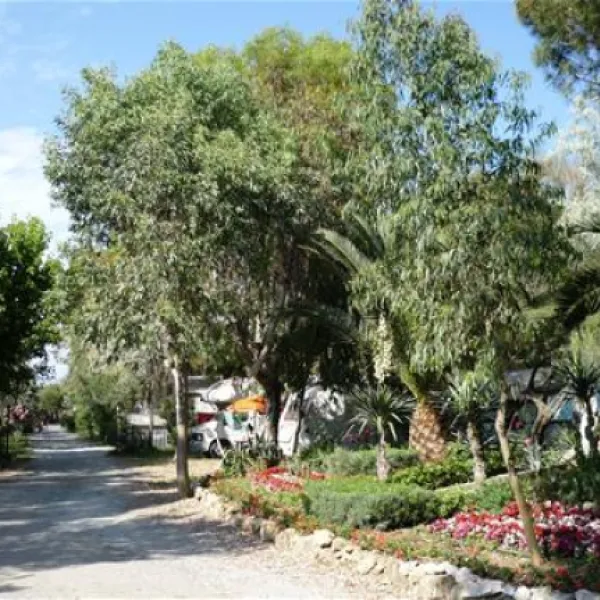 campeggio-baia-del-marinaio-vada-at2e8