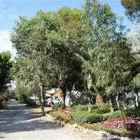 campeggio-baia-del-marinaio-vada-at2e8