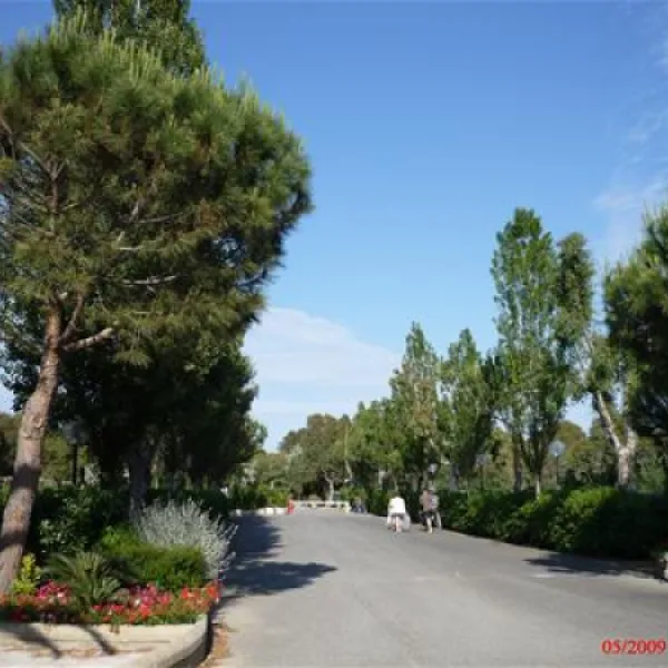 campeggio-baia-del-marinaio-vada-ba5op