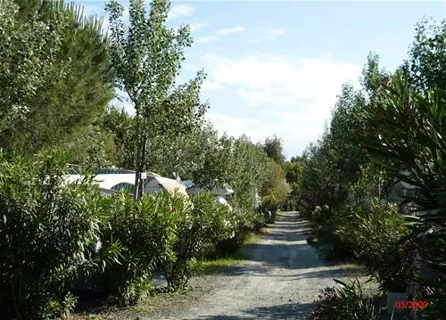 campeggio-baia-del-marinaio-vada-f7k0p