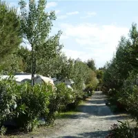 campeggio-baia-del-marinaio-vada-f7k0p