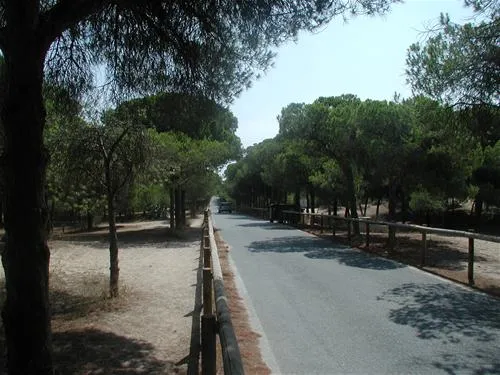 la-marina-camping-resort-la-marina-alicante-foc0b