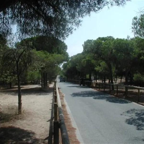 la-marina-camping-resort-la-marina-alicante-foc0b