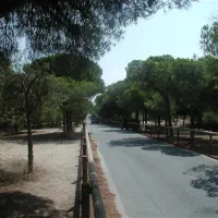 la-marina-camping-resort-la-marina-alicante-foc0b