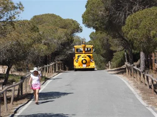 la-marina-camping-resort-la-marina-alicante-hixpt