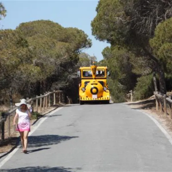 la-marina-camping-resort-la-marina-alicante-hixpt