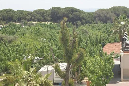 la-marina-camping-resort-la-marina-alicante-l1uui