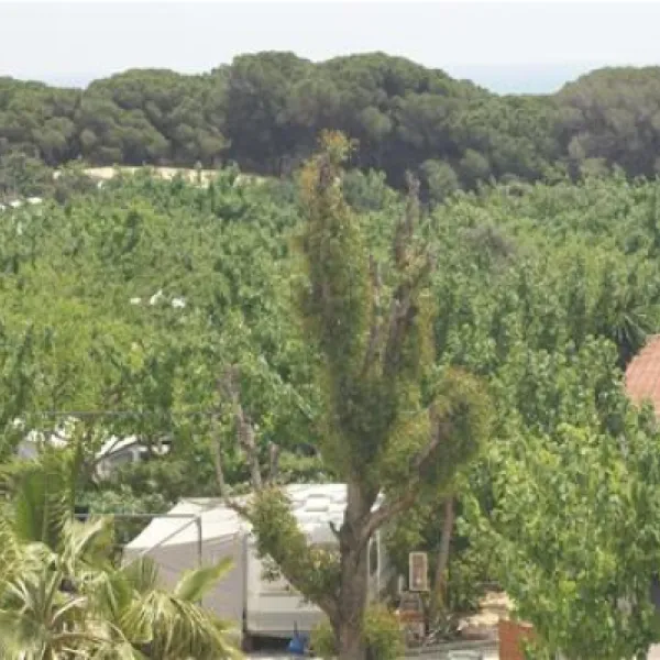 la-marina-camping-resort-la-marina-alicante-l1uui
