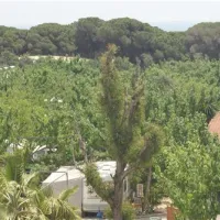 la-marina-camping-resort-la-marina-alicante-l1uui